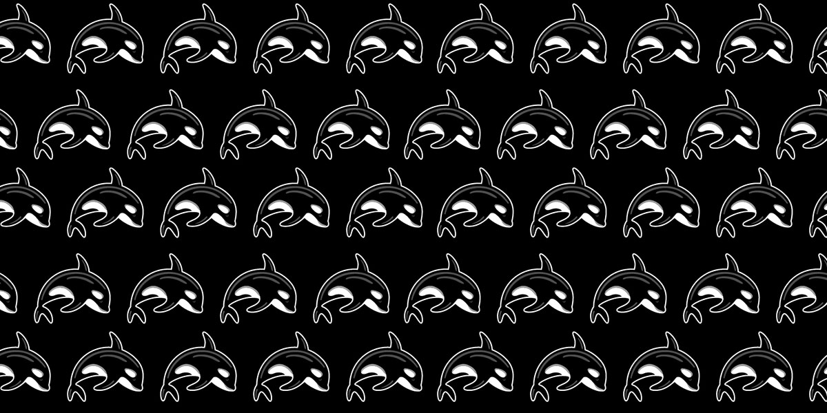 orca killer whale pattern
